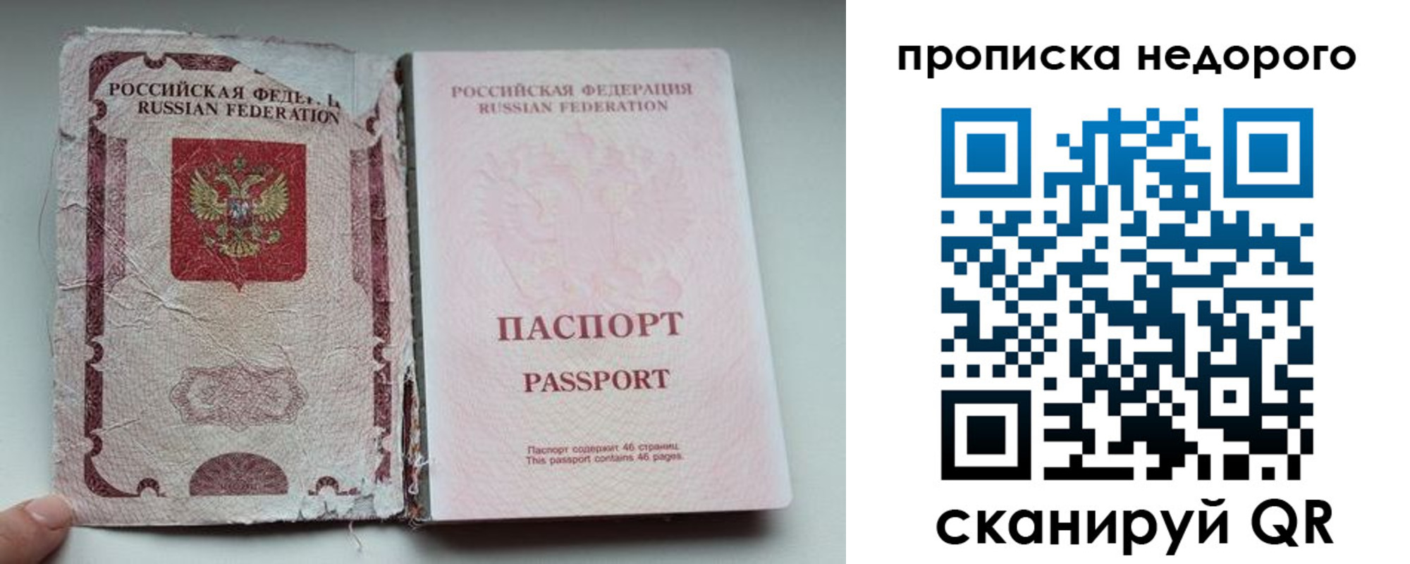 прописка для работы в Мурино